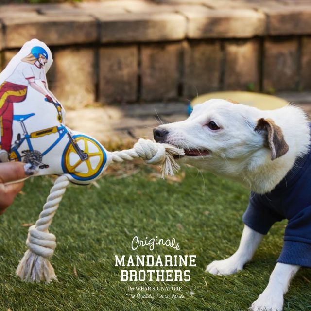 🏈🧽🛼⚾️
.
.
春夏新作アイテムの中には、
室内、屋外でも遊べる
ドッグトイが色々登場しました～❣️
.
ちょっとしたギフト🎁にもピッタリ🐶
.
#mandarine_brothers
#mandarinebrothers
#マンダリンブラザーズ
#mbstyle  #fashion
#犬との暮らし #犬のいる生活
#お出かけ
